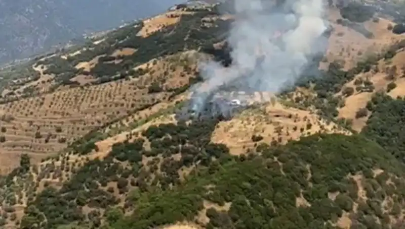 Aydın’da Zeytinlik Yangını: Tarım Alanları ve Ekonomik Etkileri