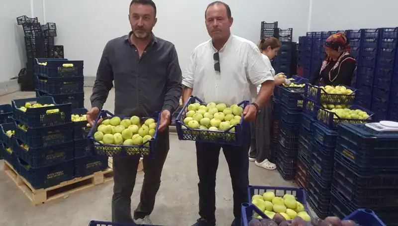 Mersinli Çiftçilerin Yüzü Güldü: 20 TL'den İhraç Edilen Ürünler