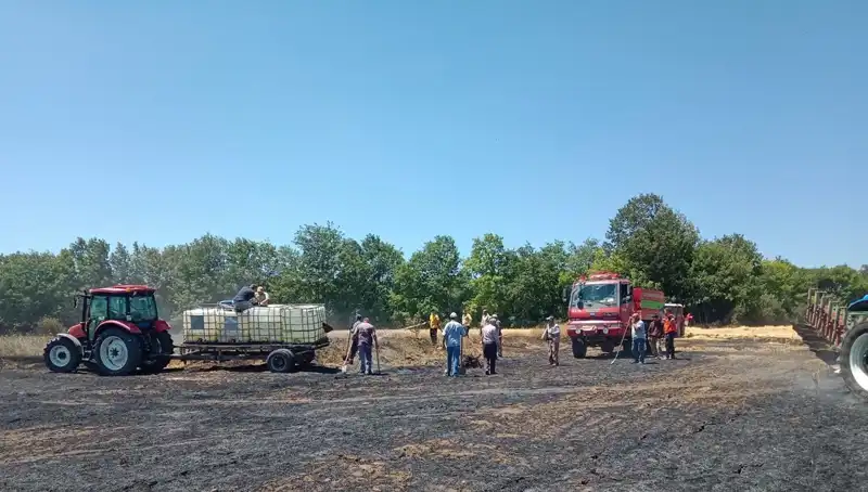 Buğday Tarlasında Çıkan Yangın, 10 Dönümlük Alanı Küle Çevirdi