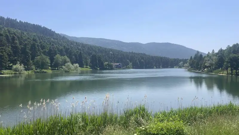 Bolu’nun Doğal Cennetleri: Milli Parklara Ziyaretçi Akını