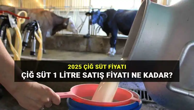 2025'te Çiğ Süt Fiyatları: Ulusal Süt Konseyi'nden Kritik Açıklama