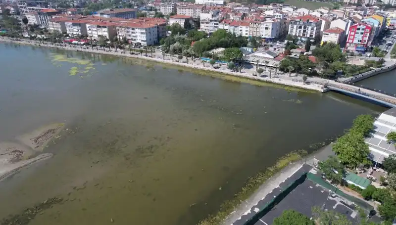 Marmara Denizi'nde Şaşırtıcı Görüntüler: Ciddi Tehlike Alarmı
