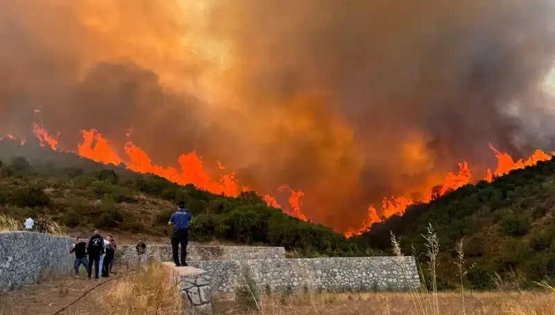 Bursa, Kocaeli ve İzmir'de Yangın Alarmı: Ormanlar Alev Alev!