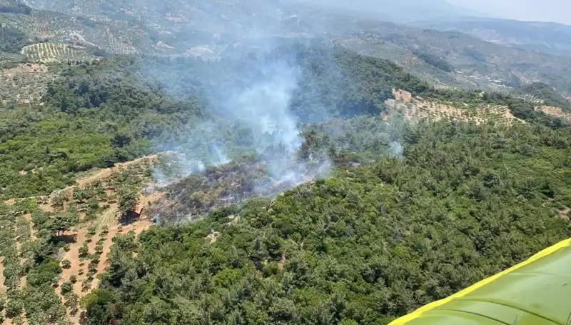 Aydın’da Çıkan Orman Yangını, Ekipleri Seferber Etti!