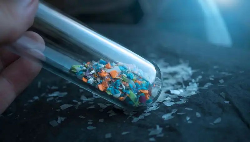 Mikroplastikler İnsan Beynine Sızıyor: Sağlığımız İçin Tehlike Sinyalleri