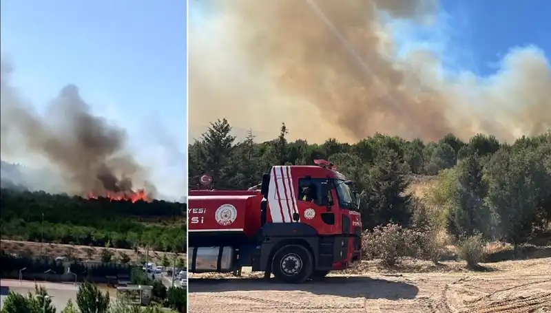 Gebze'de Korkutan Orman Yangını: Ekipler Zamanla Yarışıyor