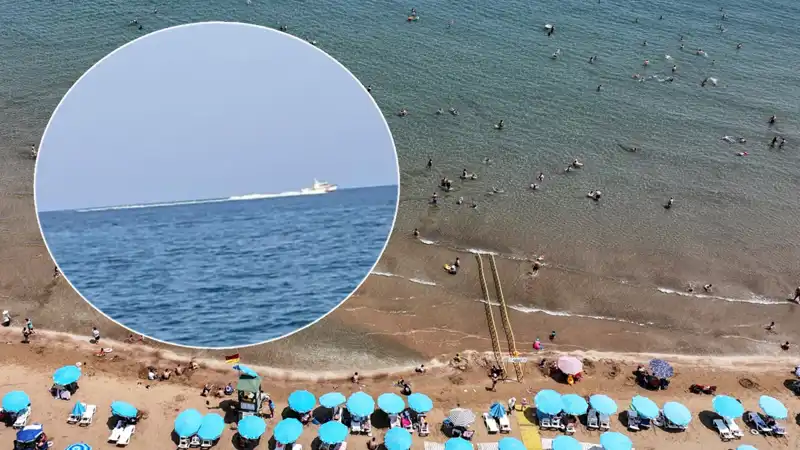 Plajda Köpek Balığı Korkusu: Güvenlik Harekete Geçti, Gerçek Farklı Çıkınca Ne Oldu?