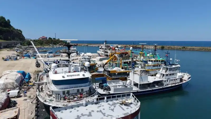 Karadeniz'de 1 Eylül'e Geri Sayım: Heyecanla Beklenen Etkinlikler