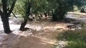 Mersin'de Aniden Bastıran Sağanak, Şehri Sular Altında Bıraktı