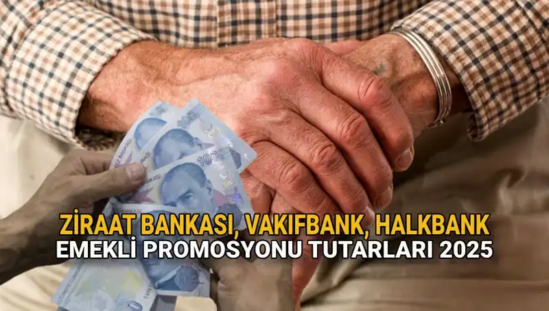 2025'te Emekli Maaşı Promosyonları: Kamu Bankaları Ne Sunuyor?