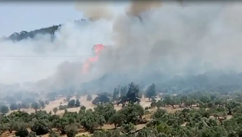 İzmir'de Devam Eden Orman Yangınına Müdahaleler Artıyor