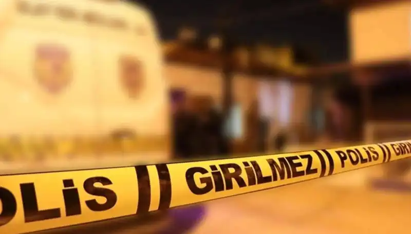 Diyarbakır'da Kayınpeder Dehşeti: Şiddet ve Korku Dolu Bir Gece
