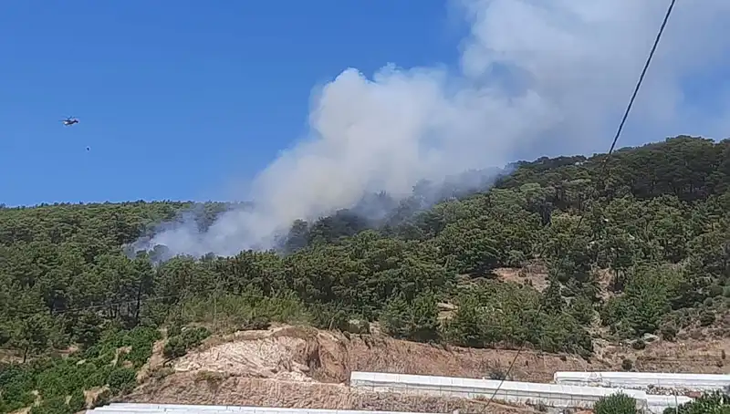 Kumluca'da Orman Yangını: Doğayı Tahrip Eden Tehlike Yeniden Patlak Verdi