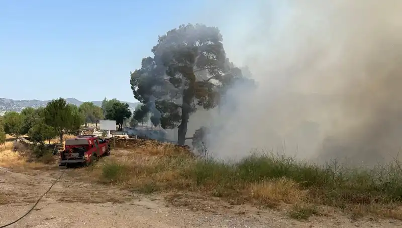 Muğla’da Alevlere Karşı Mücadele: Orman Yangını Korkutuyor