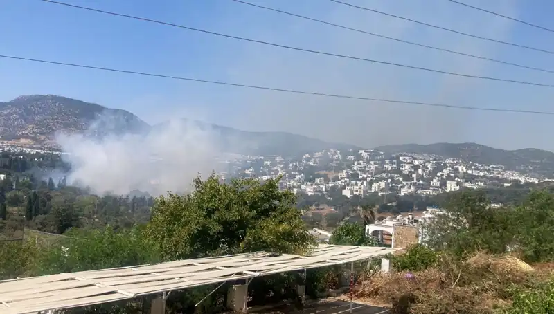 Muğla'daki Orman Yangınları: Son Durum ve Alınan Önlemler