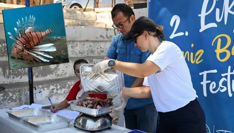 Antalya’da Suyla Dans: İstilacı Aslan Balığı Avlama Yarışması Başlıyor