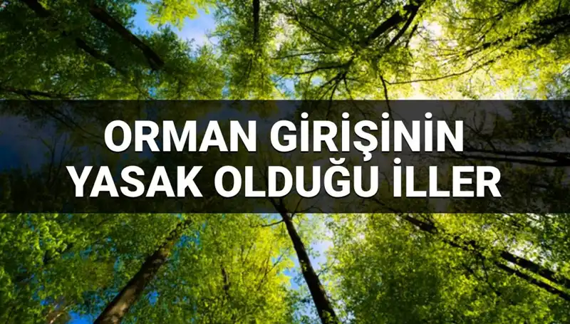Orman Girişine Yasaklanan İllerde Merak Edilen Tüm Detaylar