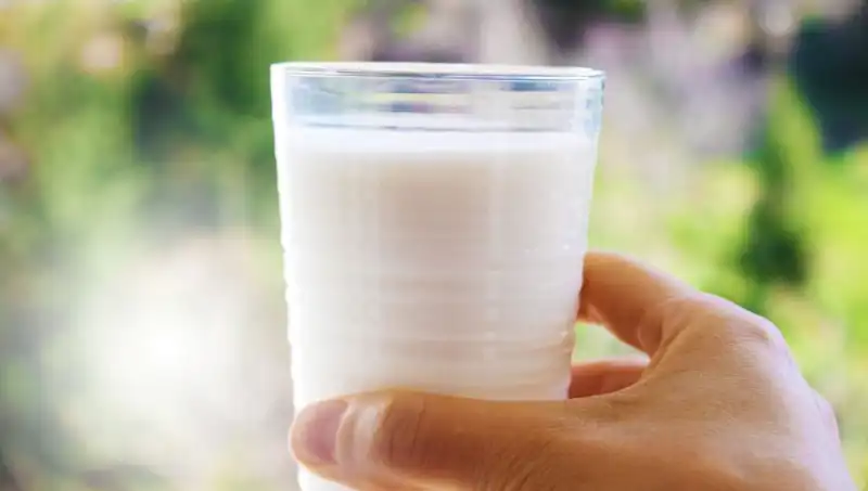 Süt Tüketimi ve Sindirim: Şişkinlik Yapıyor Mu? Uzmanlar Açıklıyor