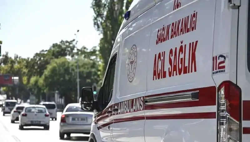Böcek Avı Faciaya Dönüştü: Apartman Tahliye Edildi!