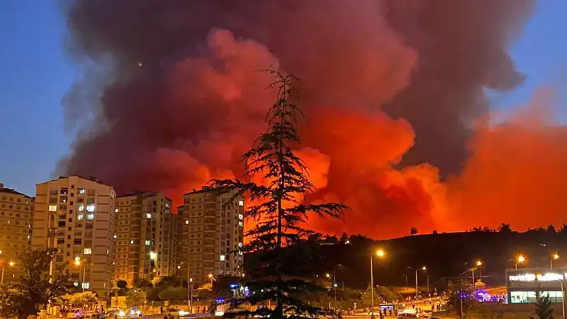 Bursa'da Yangın Alarmı: Şehrin Neresinde Ne Oldu?